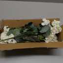 Plastic Flowers for Outdoors Home Decor Fake Plants Artificial Flowers Artificial Geraniums Outdoor Fake Flowers Silk Bouquet, Fall Decor for Interior Porch Garden Decor 14.4" (White) 8PCS