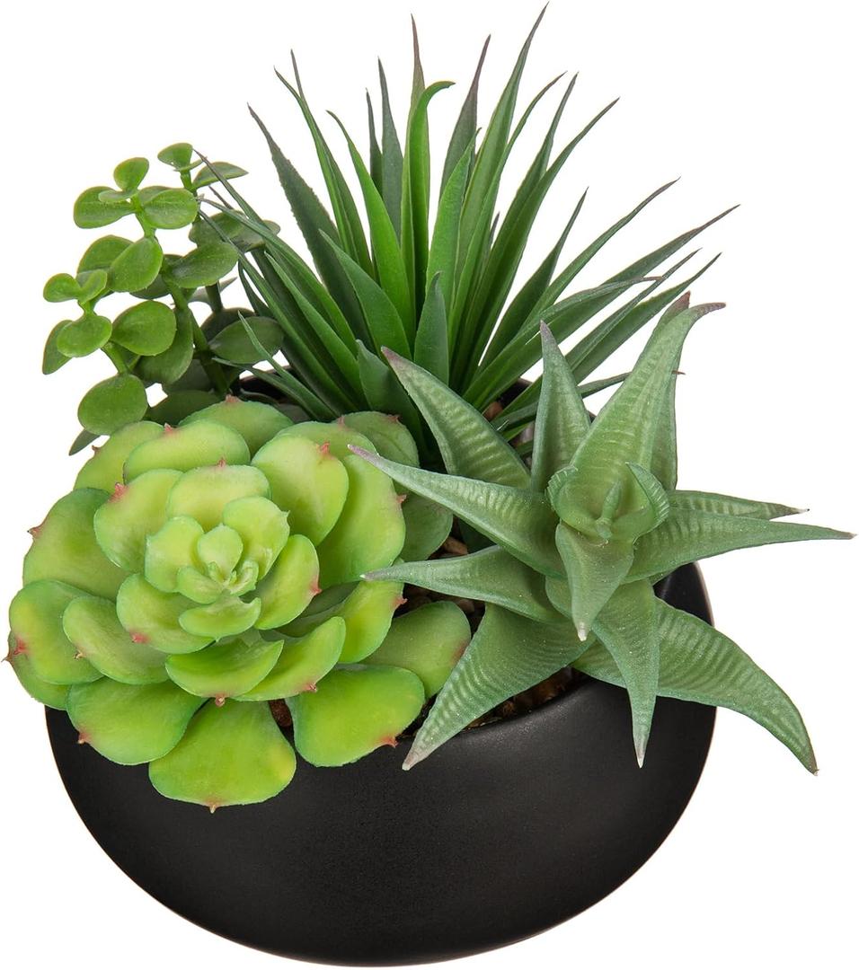 Fake Plants Artificial Succulents in Pots Faux Succulent Arrangement Potted Plant with Black Ceramic Pot for Home Decor Modern Office Desk Bathroom Shelf Living Room Indoor & Outdoor Decoration