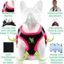 EcoBark Step in Dog Harness - Eco-Friendly Teacup Dog Harnesses for XXS, XS, and Small Dogs - Reflective and Adjustable Mini Body Halter Vest -Tiny Soft Mesh Toy Breed Harness (XXXS, Black and Pink)