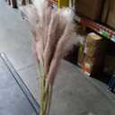 uxcell 16pcs Faux Pampas Grass 21" Artificial Dried Pampas Dark Coffee | Fake Decor,for Floor Vase Filler, Wedding Decoration, Home Decoration