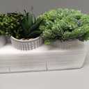 Set of 3 Assorted Small Potted Succulent Plants Fake Aloe String of Pearls Hops Succulents in Gray Geometric Concrete Ceramic Pots for Gifts Modern Home Office Desk Table Indoor Outdoor Greenery Decor