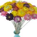 TooGet 40 Pcs Natural Dried Daisies, Dried Daisy Flowers Bouquet with Stem for Wedding Home Office Party DIY Flower Arrangement