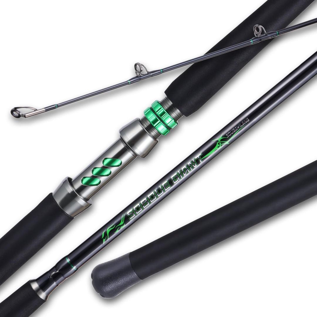 Sougayilang Spinning & Casting Catfish Rod,2 piece Medium Heavy Portable Travel Catfish Fishing Rod (SPIN8'0'')