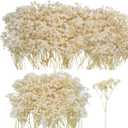 50Pcs Mini Dried Baby's Breath Flowers, 6'' Natural Ivory White Flowers for Resin Art Craft DIY, 3000+ Pressed Gypsophila Bouquet Present for Valentine's Day, Wedding Wreath, Card Making, Home Decor