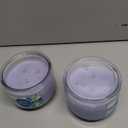 CL 3WK Jar candle spring blooms 11 oz 2pack