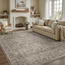 DCX Washable 9x12, Kid & Pet Friendly with Rubber Back Non Slip, Stain Resistant Vintage Rug for Living Room, Bedroom, Home Office, Soft Low Pile Large Farmhouse Distressed Carpet, Greige