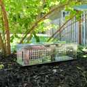 Havahart X-Small 2-Door Humane Catch and Release Live Animal Trap for Moles, Rodents, Shrews, Mice, Voles, and Other Small Animals - 1020 - Live Catch Mouse Trap