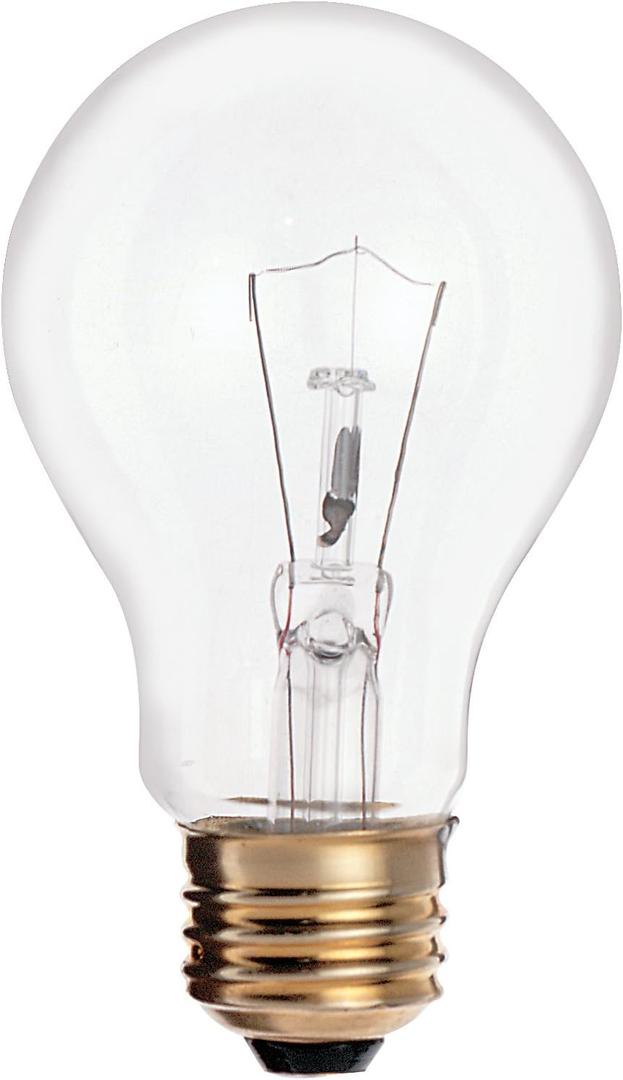 Satco S3940 25 Watt 170 Lumens A19 Incandescent Soft White 2700K Clear Light Bulb, 2-Pack