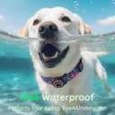 WhoseID Airtag Dog Collar, with Waterproof airtag HolderOriginal Stylish Cute Pattern Design.QR Code ID Buckle Comfortable Soft Cotton for Large Dogs