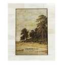 Creative Co-Op White Resin Beige Accents (Holds 5" x 7" Picture Frames and Photo Holders