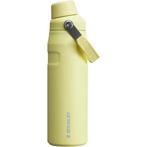 Stanley IceFlow Fast Flow Water Bottle | Angled Spout Lid | Lightweight & Leakproof for Travel & Sports | Insulated Stainless Steel | BPA-Free