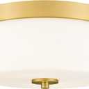 Emak 11 Inch Brushed Gold Flush Mount Ceiling Light Fixture, 2-Light Fixtures Ceiling Mount with Milk Glass Shades for Hallway, Kitchen, Bathroom, Dining Room, FM082-GD-ML