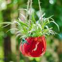 Cute Plant Pot - Funny Hanging Planter Gardening Gifts for Plant Lovers Women Mother House Warming - Smiley Red Planter for Indoor Outdoor