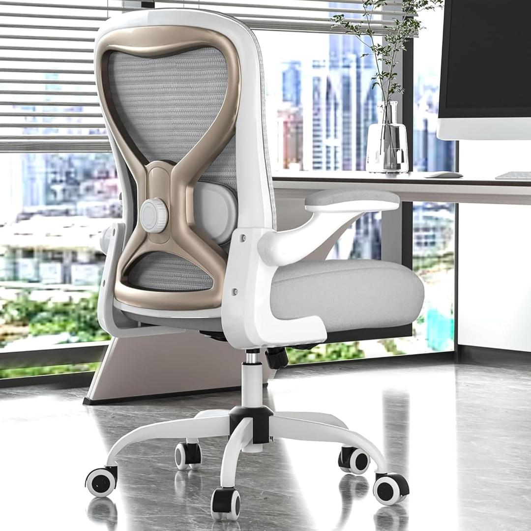 Ergonomic Home Office Chair – 4-Way Lumbar Support, 3.54" Extra-Thick Seat Cushion, Breathable Mesh Back, Flip-Up Arms, Swivel Computer Desk Chair for All-Day Sitting, 330LBS (Gray+Champagne)