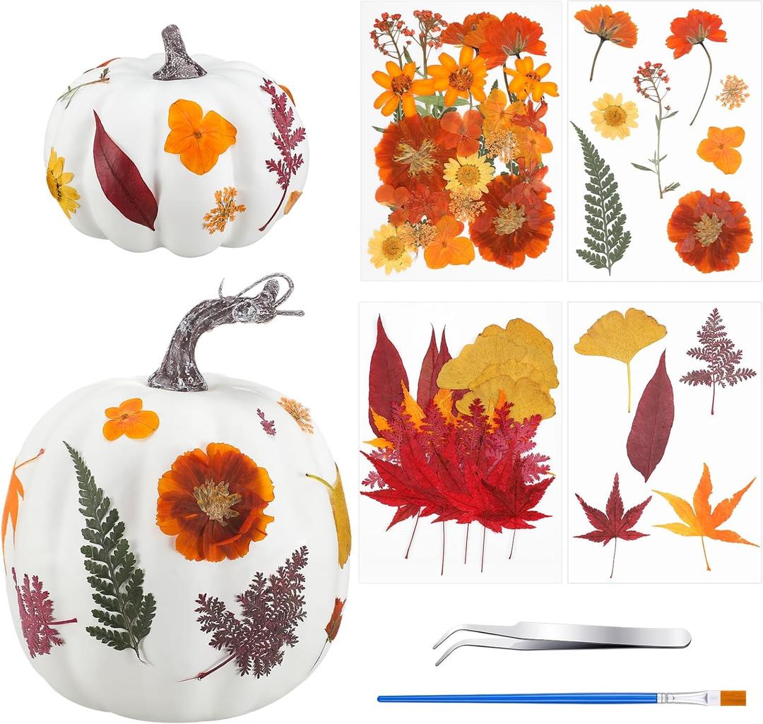 54 Pcs DIY Fall Pumpkins Craft Sets Includes 2 White Artificial Pumpkins 50 Pcs Dried Pressed Flowers Leaves 1 Tweezers and 1 Scissors for Autumn Fall Thanksgiving Holiday Decoration