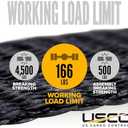 US Cargo Control Stainless Steel Ratchet Straps with Carabiner Hooks 1" X 10' (4-Pack), 500 LBS Break Strength, Marine Tie Down Straps for Boats, ATVs, Trees, Camping, Snow & Saltwater Applications