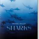Michael Muller. Sharks 