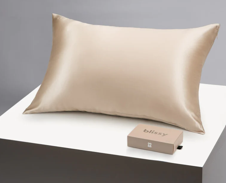 Blissy Silk Pillowcase  100% Pure Mulberry Silk  22 Momme 6A HighGrade Fibers  Silk Pillow Cover for Hair & Skin  Regular, Queen & King (Champagne, Standard)