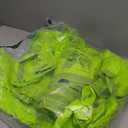 Biodegradable 13-17 Gallon Code-Q Trash Bags (50 Pack) | Strong Heavy-Duty Tall Green Kitchen Bags w/Drawstring | Fits Simplehuman & Standard Cans | Eco-Friendly D2W, 30 Micron Thick | 25.6" x 33.5"