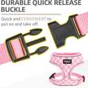PUPTECK Soft Mesh Dog Harness and Leash Set Pet Puppy Cat Comfort Padded Vest No Pull Harnesses, Checkered Pink&White, M