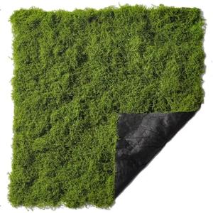 Artificial Green Moss Mat for Decoration Carpet Grass Wall, 19.68 x 19.68 inch Natural Preserved Moss Mat, Green Moss Sheets for Crafts Woodland Decor Garden Party Decorations Wall Art DIY Project