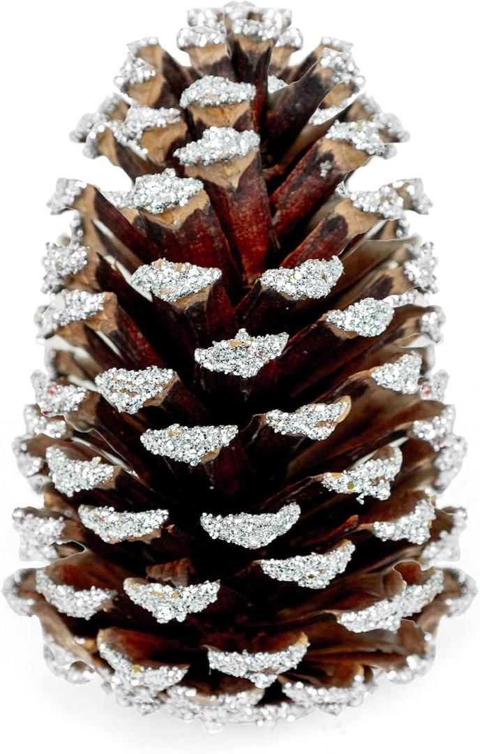 Frosted Pine Cones – Set of 15 Small 3–4" Loblolly Pinecones for Crafts, Christmas & Winter Decor, DIY Ornaments, Vase Fillers, Rustic Wedding Centerpieces & Seasonal Home Styling Events