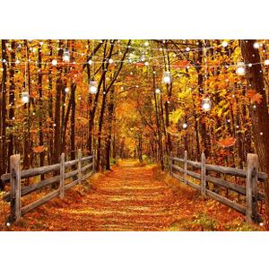 LYWYGG 82.6x59inch Fall Photography Backdrop Autumn Maple Leaves Forest Background Autumn Backdrops cp-670