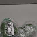 TIHOOD 40PCS Artificial Moss Rocks (4 Sizes), Green Moss Decor for Floral Arrangements, Fairy Gardens and Crafting