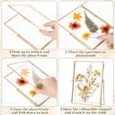 Vicenpal 3 Pack Glass Pressed Flower Frame Handmade, 6 x 8 Floating Picture Frames for Pressed Flowers, Brass Double Glass for Tabletop Display, Home Office Plant Specimen, Photos(Gold)
