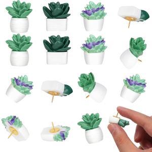20 Pieces Cute Succulent Plants Decorative Push Pins Colorful Floret Thumbtacks for Photo Wall, Feature Wall, Whiteboard, Cork Board, Map, Bulletin Board, Office or Home (Three Assorted Styles)