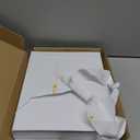 Laser Photo Paper 8.5x11 In,200 Sheets 200GSM/52LB Semi Gloss Double Sided High-Heat Resistant Smudge Proof for Laserjet Brochures Covers Postcard DIY Flyers Cards Picture Cardstock