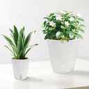 TCBWFY 4 Inch Self Watering Pots for Indoor Plants,8 Sets Self Watering Planter Pots with Visual Water Level Window and Multiple Vents,Self Watering Plant Pot for All House Plants,Flowers,Herbs