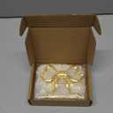 2 Pack Jumbo Bow Curtain Holdbacks, Wall Mounted Large Metal Gold Curtain Tiebacks, Curtain Holders for Wall, Elegant Window Hook for Home Decor, with 2 Pcs Curtain Ties