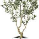 Olive Tree 7 Feet - Olive Trees Artificial Indoor with White Tall and Large Planter - Faux Olive Tree 7ft with Natural Wood Trunk and Lifelike Fruits for Home House Office Decor