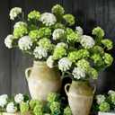 Lyrow 6 Pcs White and Green Hydrangea Artificial Flowers 30.3" Faux Hydrangea Flowers with Stems for Wedding Bouquets Table Centerpieces DIY Floral Home Decor