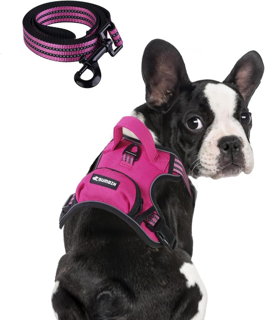 BUMBIN Dog Harness for Large Dogs, No Pull Adjustable No Choke Pet Vest with Dog Leash Fit Smart Reflective Pet Walking Harness for Training Easy Control Soft Handle (Rose Red M)