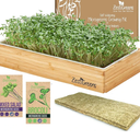 Self-Watering Microgreens Growing Kit – Easiest Way to Grow Fresh Microgreens at Home. Includes Reusable Tray, Organic Seeds, Grow Mats & Stylish Bamboo Frame – No Soil, No Mess (Salad & Broccoli)