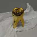 Dental Teeth Modle Handicrafts Ornaments Office Tooth Model Gift for Display Decoration Clinic Desktops (Golden