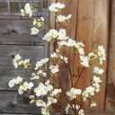 Olivachel Artificial Flowers Faux Plum Cherry Blossom Branches Fake Long Flower Stems for Home Wedding Party Decoration (White, 4Pcs/Pack)