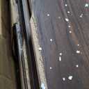 Sauder 5 Tier Book Shelf Wooden Bookcase Multipurpose Bookshelf for Home Office, Living Room, in Grand Walnut