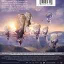 Avatar: Fire And Ash - DVD