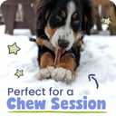 Pawstruck Natural 35" Bully Sticks for Small Dogs and Puppies Single Ingredient, Low-Odor, Rawhide-Free Chew Treat 100% Real Beef, No Artificial Preservatives 8 oz Bag Packaging May Vary | Single Ingredient, High Protein, Rawhide Free Dog Chew for Tiny Dogs, X-Small to Small Dogs, Low Odor, Supports Dental Health (EXP 08/05/28)