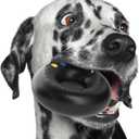 Goughnuts  Dog Toys for Aggressive Chewers | Virtually Indestructible Dog Toys for Medium Breeds Such as Pit Bulls | Heavy Duty Dog Toy | Black (Medium, 30-70 Lbs (Original Size), Toughest HD Pro 50)