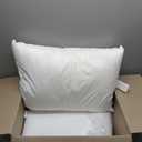 Set of 2 Pillows, White, 20x28 inch