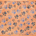 Tatuo Dog Blanket for Pet Puppy Teething Toys Paw Print Fleece Blanket for Pet Cat Soft Warm Sleep Mat Guinea Pig Cage Mat(24 x 47 Inch)