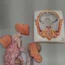 EVOTECH SCIENTIFIC Human Brain Model w/Arteries, 7 Parts Life Size Anatomy Brain Model on a Base Show Horizontal Plain Through Eyeball Level for Science Classroom Study Display, Manual Included