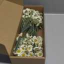 Floroom 24pcs Ivory Small Artificial Flowers Faux Silk Daisies Fake Wildflowers with Stems for DIY White Wedding Bouquets Floral Arrangements Party Decor Centerpieces Decorations (Vase Not Included)