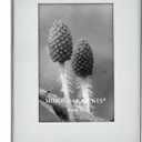 MIMOSA MOMENTS 6x8 Metal Picture Frame with Mat for 4x6 Photo, Shadowbox Frame for Tabletop Display (Silver, 4X6)