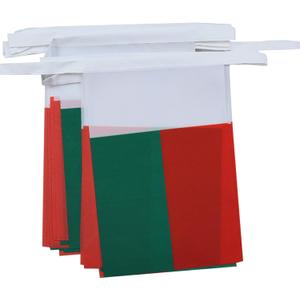 AZ FLAG Madagascar 6 meters BUNTING Flag 20 flags 9'' x 6'' - Madagascan STRING flags 15 x 21 cm