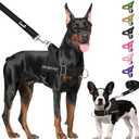 Lukovee No Pull Dog Harness & Leash Set - Heavy Duty Dog Vest Harness with Soft Padded for Medium Large Dogs, Adjustable Reflective Tactical Pet Harness for Easy Walk and Training (M, Black)